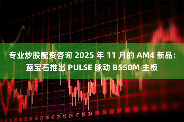 专业炒股配资咨询 2025 年 11 月的 AM4 新品：蓝宝石推出 PULSE 脉动 B550M 主板